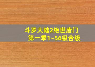 斗罗大陆2绝世唐门第一季1~56级合级