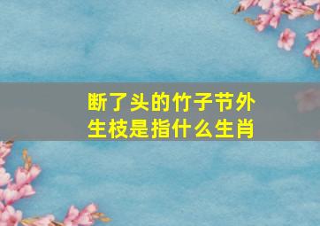 断了头的竹子节外生枝是指什么生肖