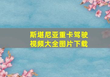 斯堪尼亚重卡驾驶视频大全图片下载