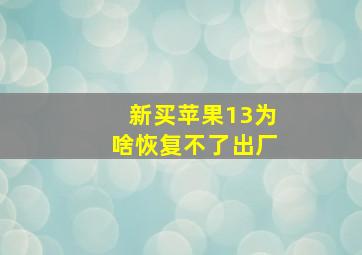 新买苹果13为啥恢复不了出厂