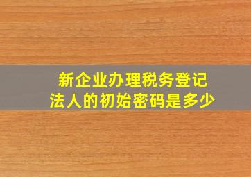 新企业办理税务登记法人的初始密码是多少