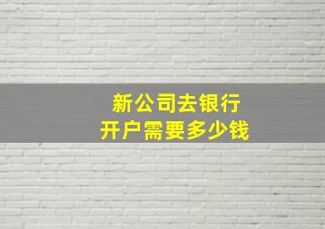 新公司去银行开户需要多少钱