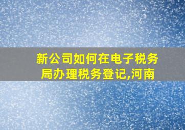 新公司如何在电子税务局办理税务登记,河南