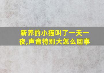 新养的小猫叫了一天一夜,声音特别大怎么回事