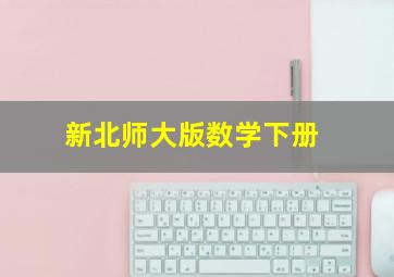 新北师大版数学下册