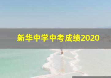 新华中学中考成绩2020