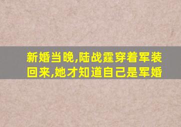 新婚当晚,陆战霆穿着军装回来,她才知道自己是军婚