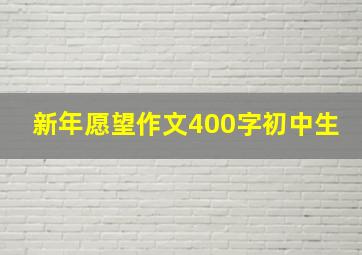 新年愿望作文400字初中生