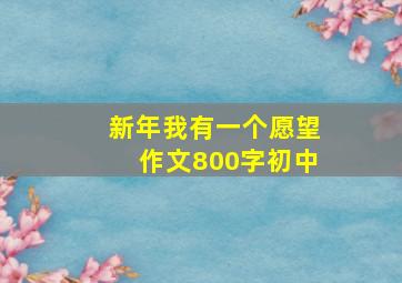 新年我有一个愿望作文800字初中