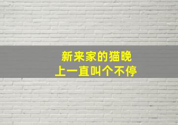 新来家的猫晚上一直叫个不停