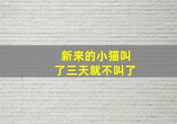 新来的小猫叫了三天就不叫了