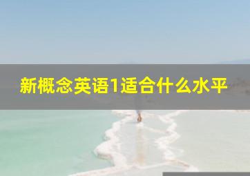 新概念英语1适合什么水平