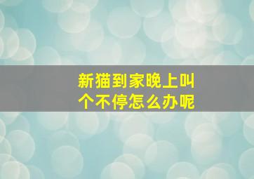 新猫到家晚上叫个不停怎么办呢