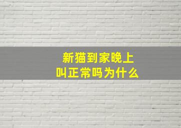 新猫到家晚上叫正常吗为什么