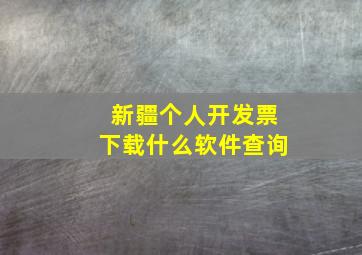 新疆个人开发票下载什么软件查询