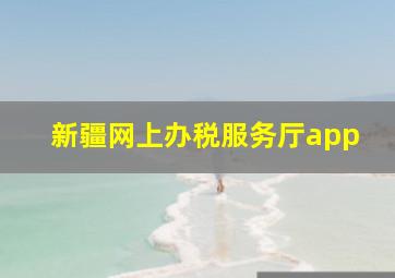 新疆网上办税服务厅app