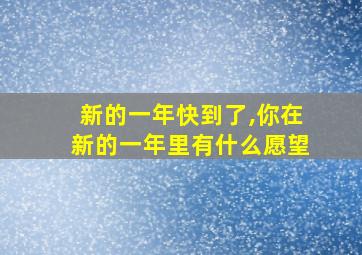 新的一年快到了,你在新的一年里有什么愿望