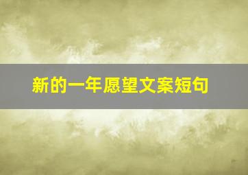 新的一年愿望文案短句