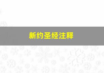 新约圣经注释