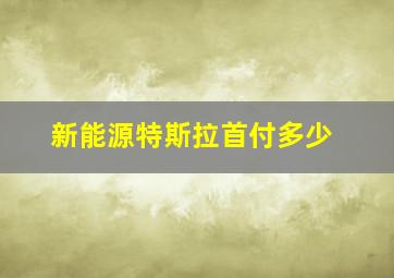 新能源特斯拉首付多少