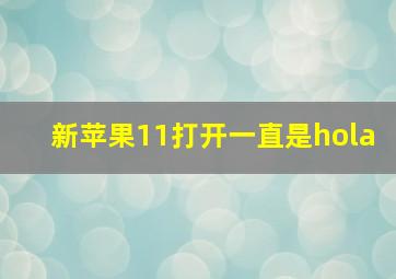 新苹果11打开一直是hola