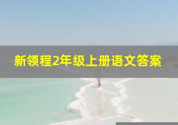 新领程2年级上册语文答案