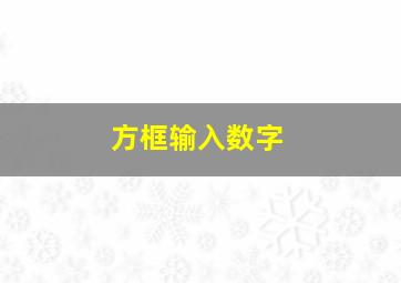 方框输入数字