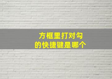 方框里打对勾的快捷键是哪个