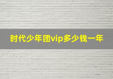 时代少年团vip多少钱一年