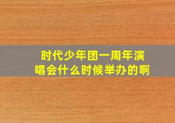 时代少年团一周年演唱会什么时候举办的啊