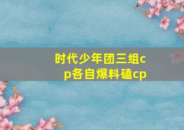 时代少年团三组cp各自爆料磕cp