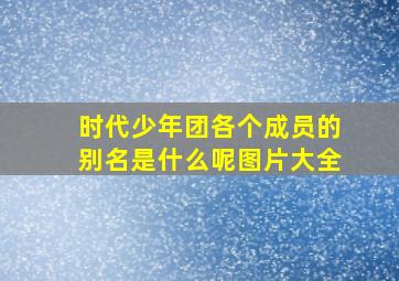 时代少年团各个成员的别名是什么呢图片大全