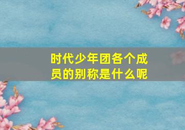 时代少年团各个成员的别称是什么呢