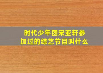 时代少年团宋亚轩参加过的综艺节目叫什么