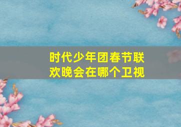 时代少年团春节联欢晚会在哪个卫视