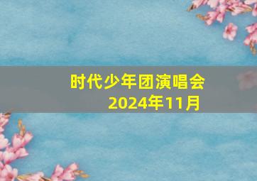 时代少年团演唱会2024年11月