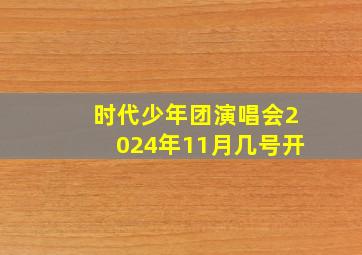 时代少年团演唱会2024年11月几号开