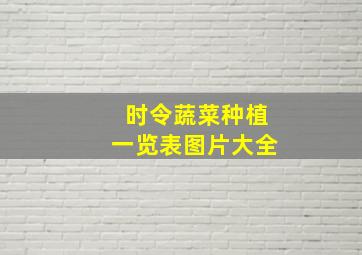 时令蔬菜种植一览表图片大全