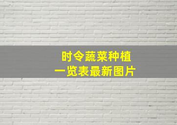 时令蔬菜种植一览表最新图片