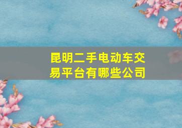 昆明二手电动车交易平台有哪些公司