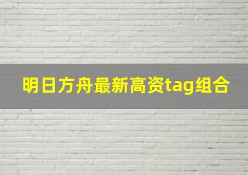 明日方舟最新高资tag组合