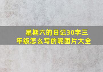 星期六的日记30字三年级怎么写的呢图片大全