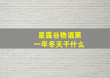 星露谷物语第一年冬天干什么