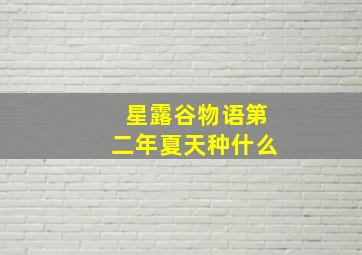 星露谷物语第二年夏天种什么