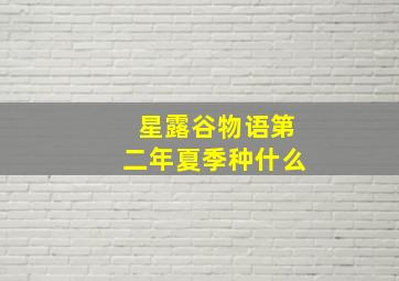 星露谷物语第二年夏季种什么