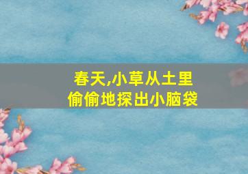 春天,小草从土里偷偷地探出小脑袋