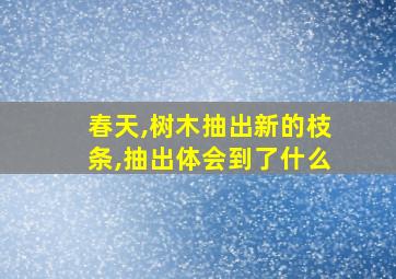 春天,树木抽出新的枝条,抽出体会到了什么