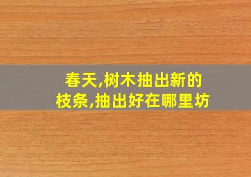 春天,树木抽出新的枝条,抽出好在哪里坊