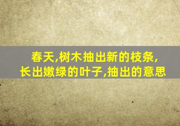 春天,树木抽出新的枝条,长出嫩绿的叶子,抽出的意思