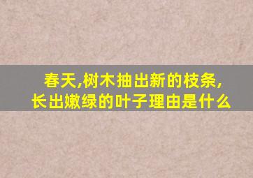 春天,树木抽出新的枝条,长出嫩绿的叶子理由是什么